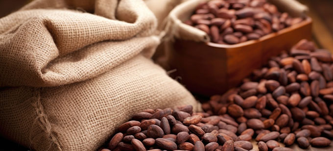 cocoa beans piled next to a burlap sack on a wooden table